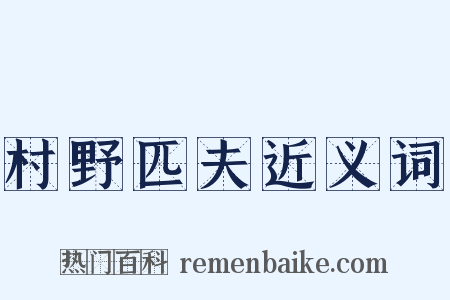 村野匹夫近义词是什么意思的图片